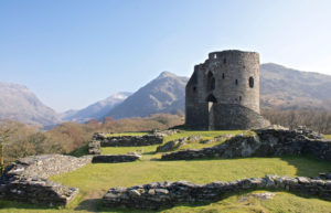 Dolbadarn