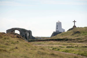 Llandwyn Island