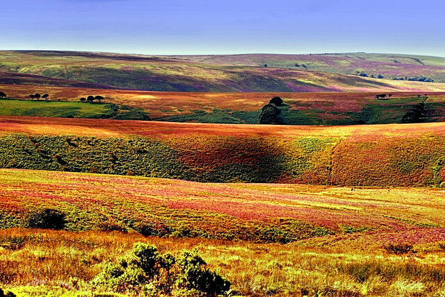 Exmoor National Park