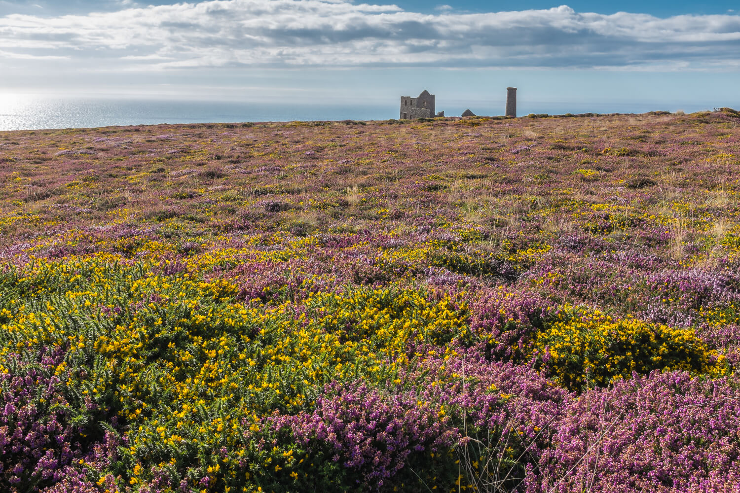 Cliff Top St Agnes