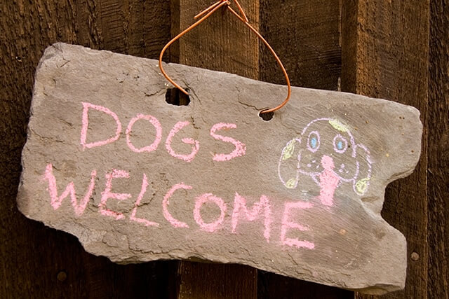 Dogs Welcome Sign