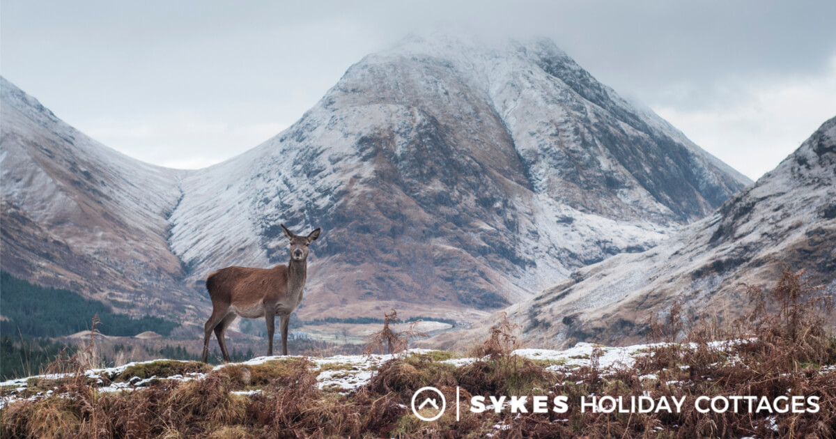 5 Best Places for UK Winter Breaks Sykes Holiday Cottages