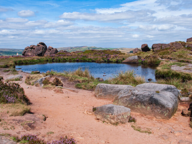 doxey pool, leek