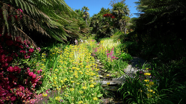 Trebah Garden in Cornwall