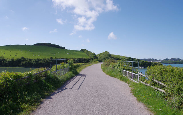 Camel Trail Path