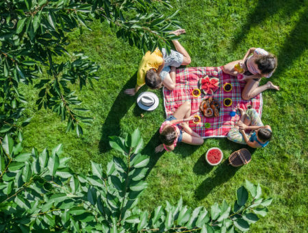 Family Picnic