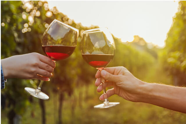 Wine tasting at a vineyard