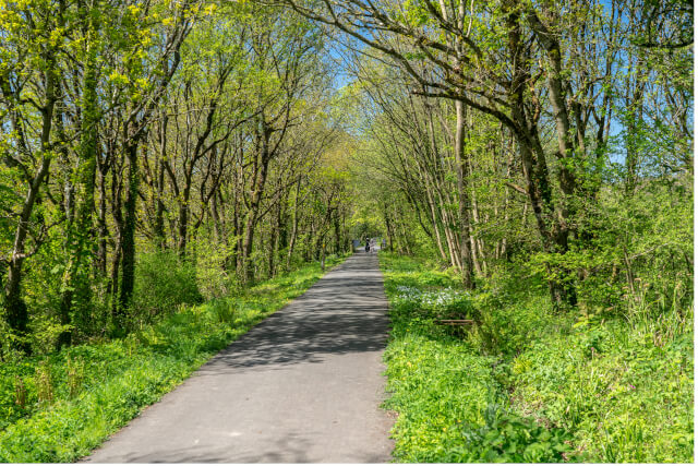 tarka trail devon cycle path