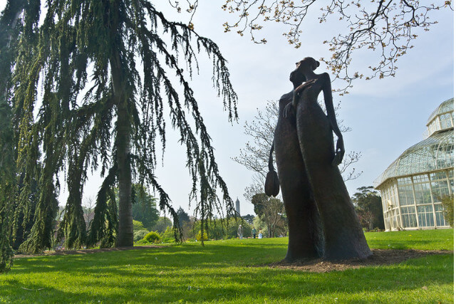 National Botanic Gardens, Dublin