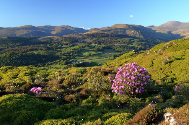 Muncaster Fell views