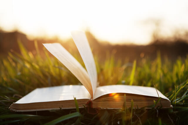 open book on grass under sun