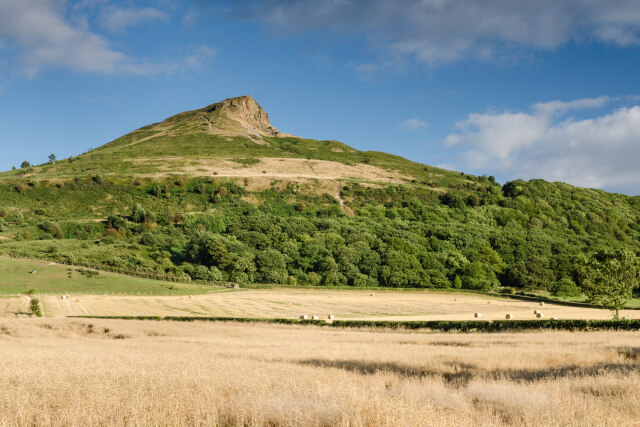 roseberry topping