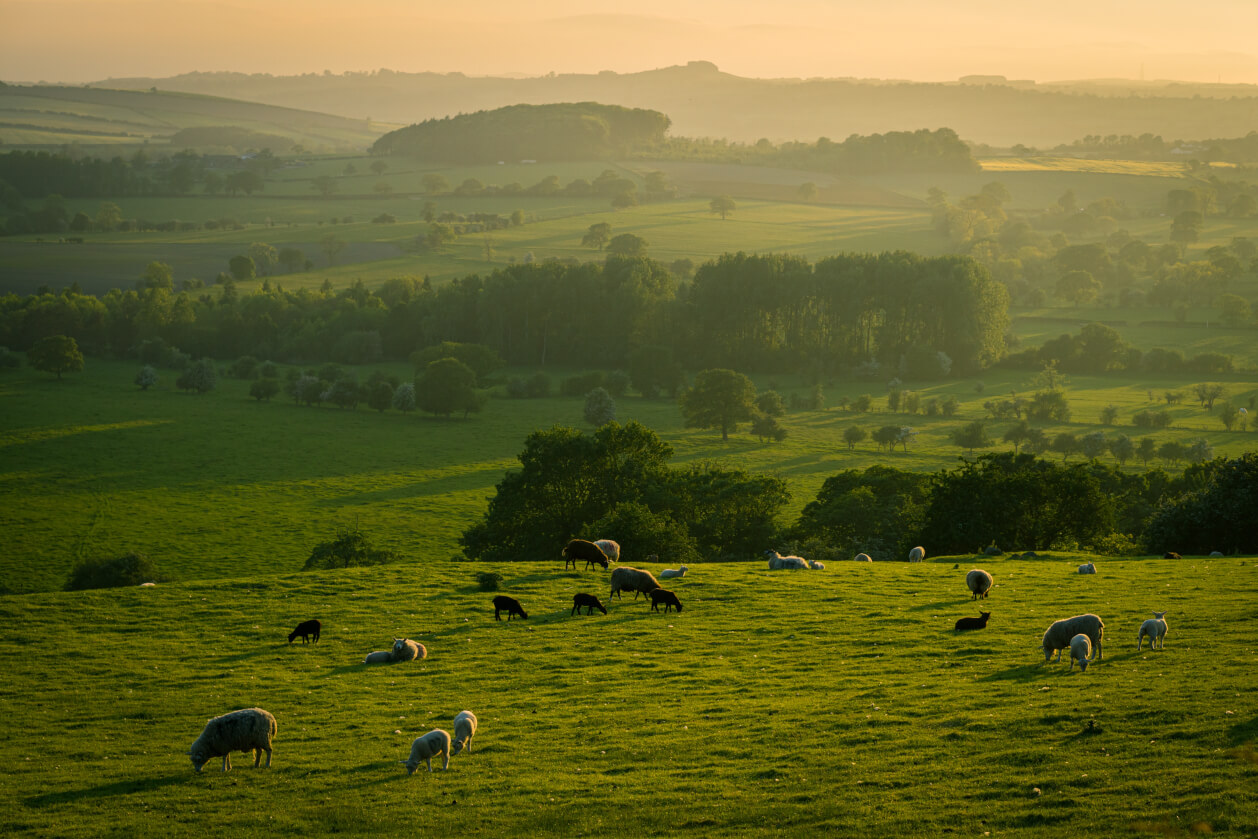 yorkshire countryside