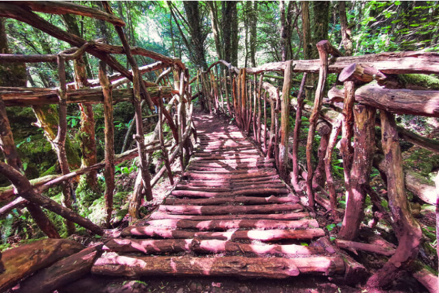 Puzzlewood