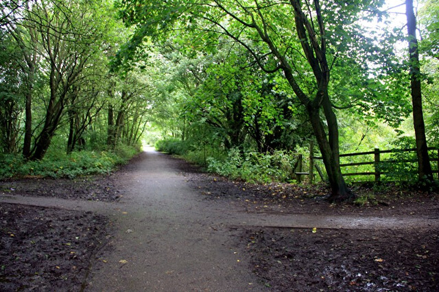 Sett Valley Trail