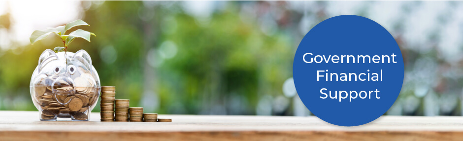 government financial support schemes