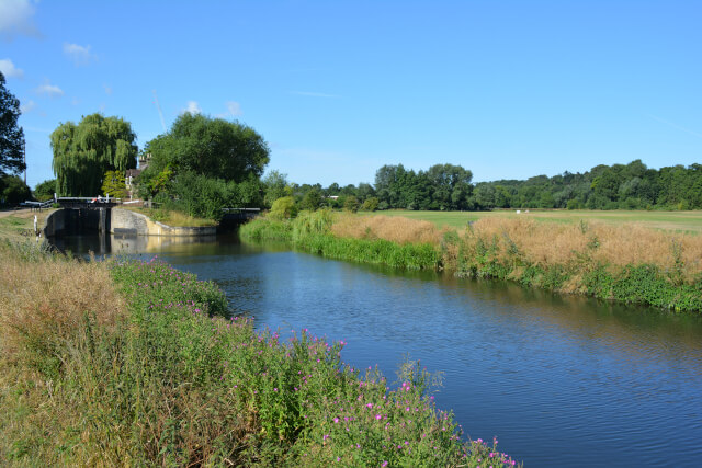 River Lea