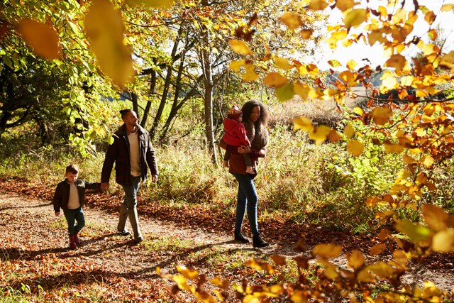 Family walking in the woods