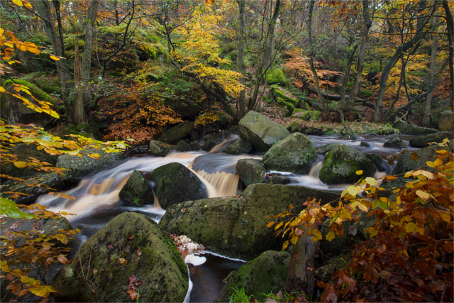 Padley Gorge