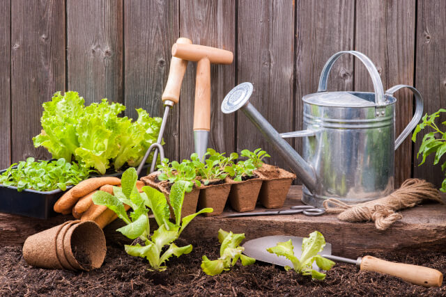 gardening tools