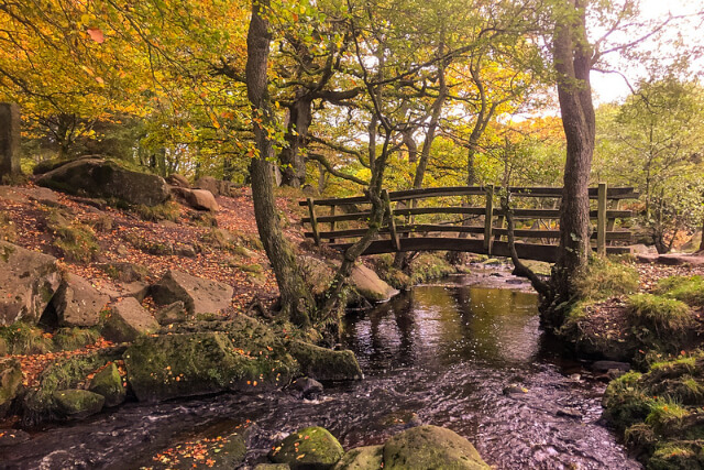 Padley Gorge