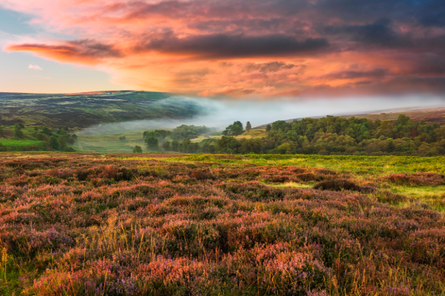  North York Moors, Yorkshire