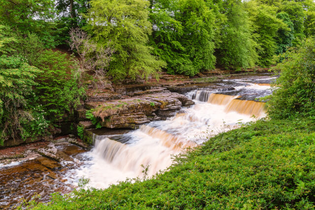 Aysgarth Lower Waterfall