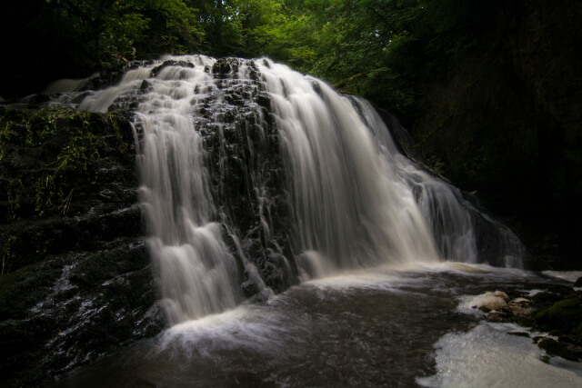 Catrigg Force