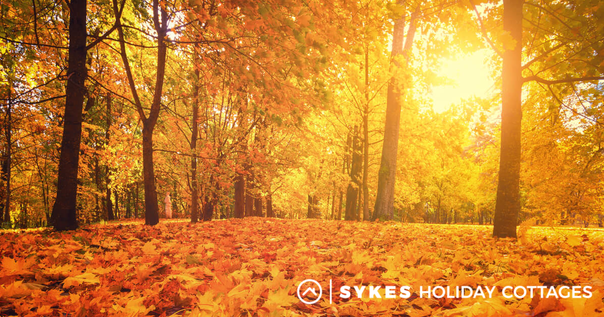 Autumn UK 9 Signs of Autumn to Look For Sykes Holiday Cottages