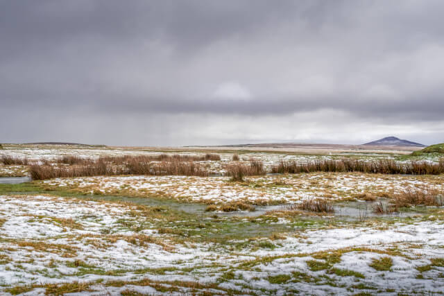 Camelford Way