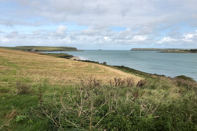 Hawkers Cove to Stepper Point 