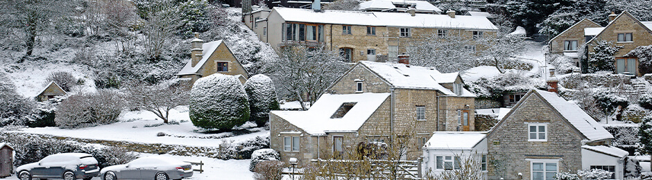 Devon Snow