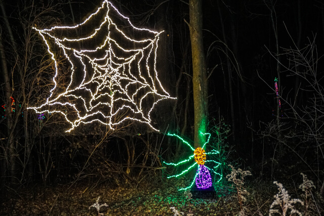 Spider web christmas decoration