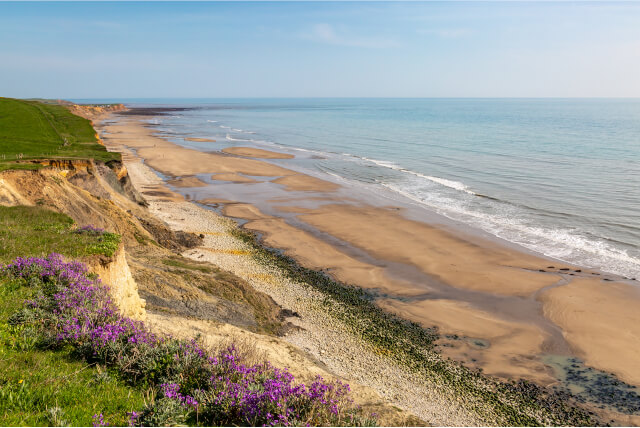 Compton Bay