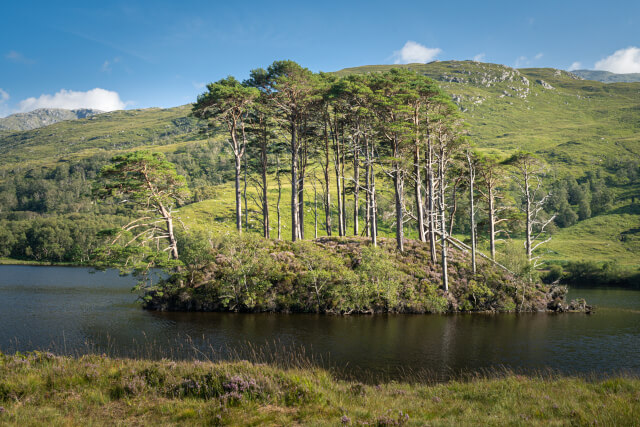 Eilean na Moine Harry Potter