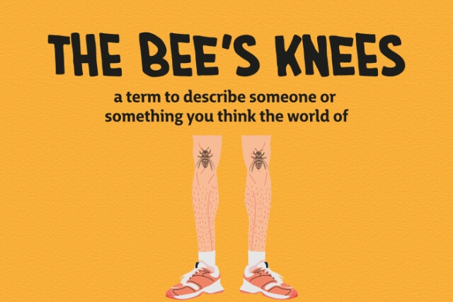 The bees Knees