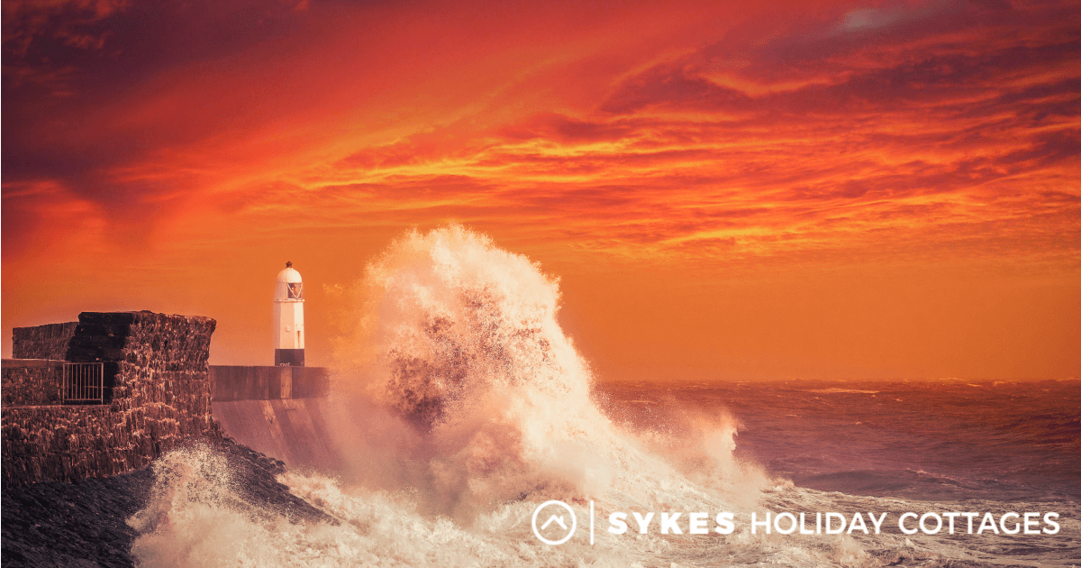 What Beaches Allow Dogs In South Wales