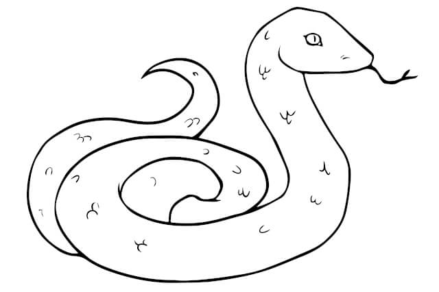 snake illustration