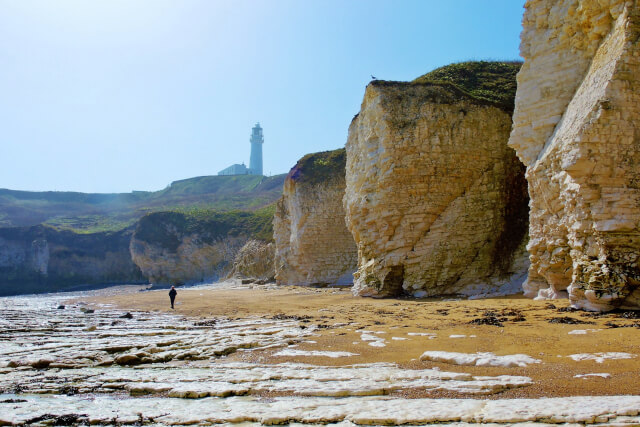 Flamborough Head Cliffs