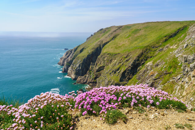 Cliff top of Lundy Island, Devon