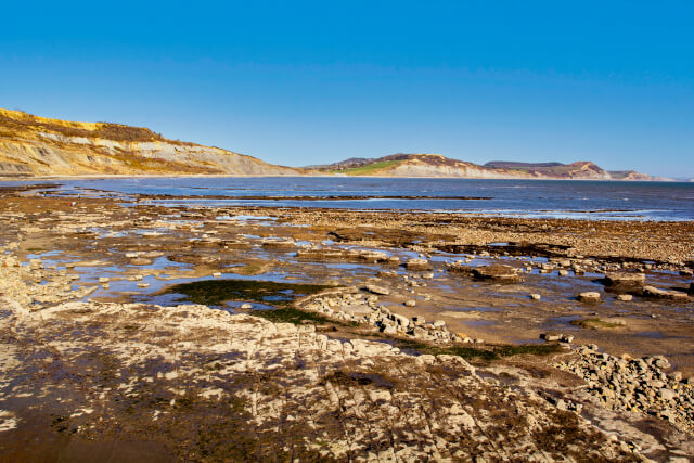 charmouth bay