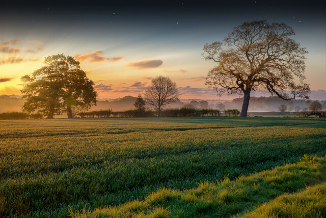 Boudicca Way