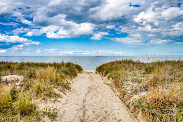 Horsey Windpump Beach Walk