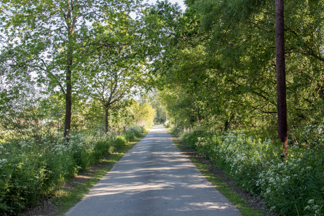 Little Ouse Path