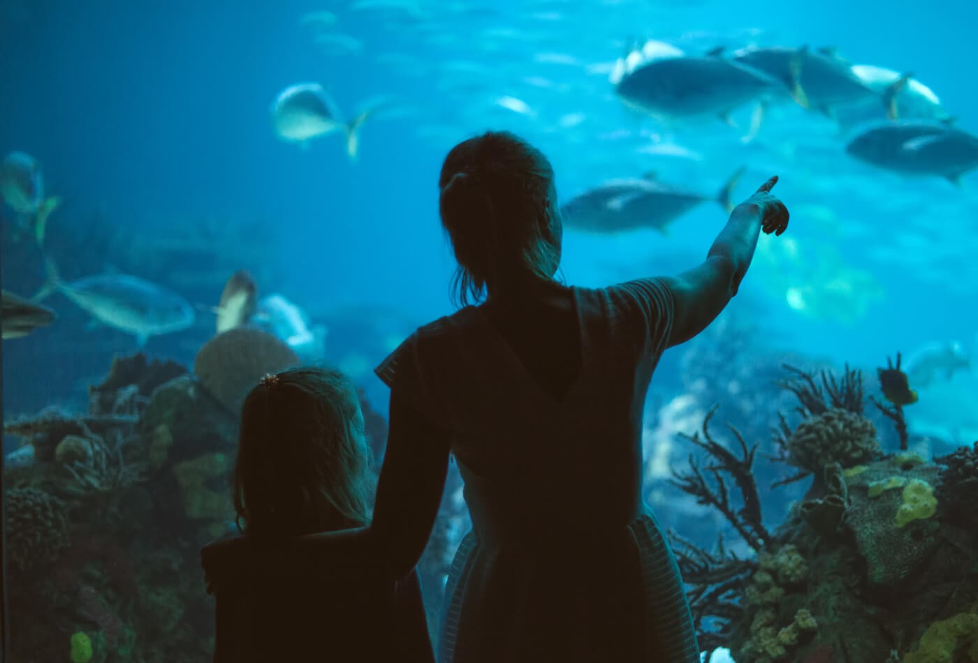 Woman and her daughter in the aquarium, uk attractions for families