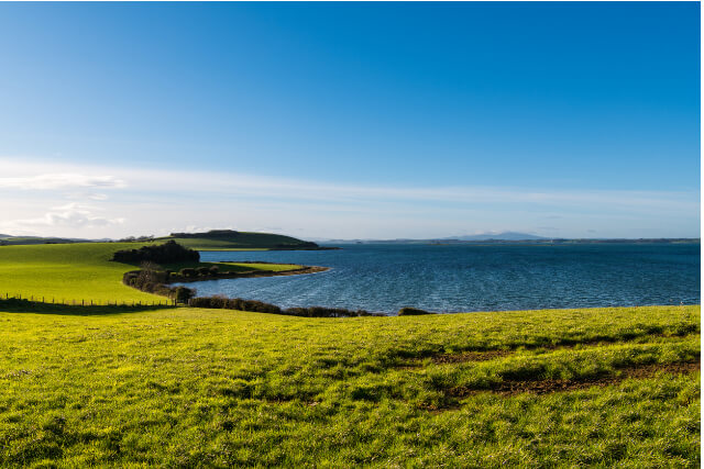 Curving shoreline of grassy fields under a blue sky along Strangford Lough in Northern Ireland