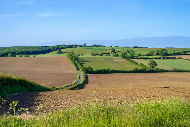 Evening sunshine falls upon a panorama of fields in Howardian Hills, Yorkshire