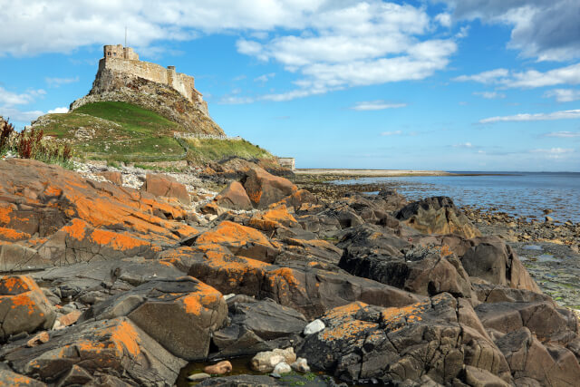 Lindisfarne castle