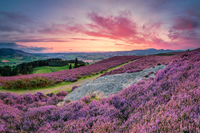 Simonside Hills