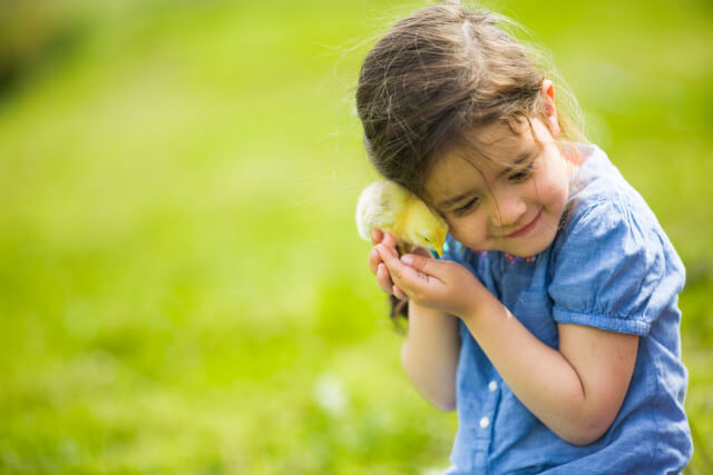 girl with baby chick